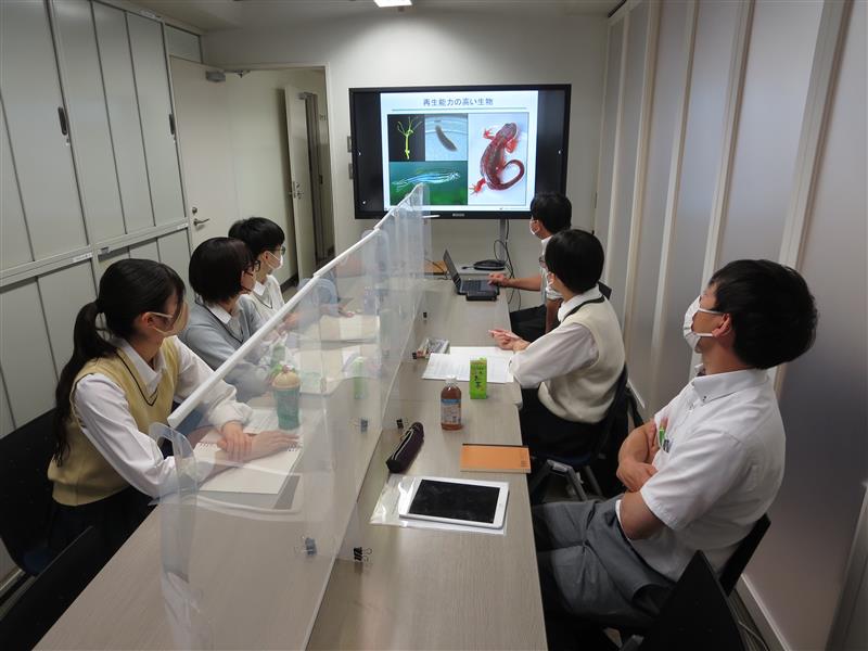 千葉日本大学第一高等学校 イメージ画像